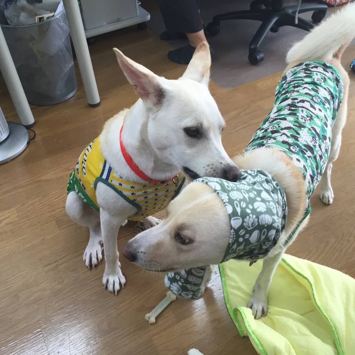 18899232 d377 48c3 a27a e7d56a440e6a