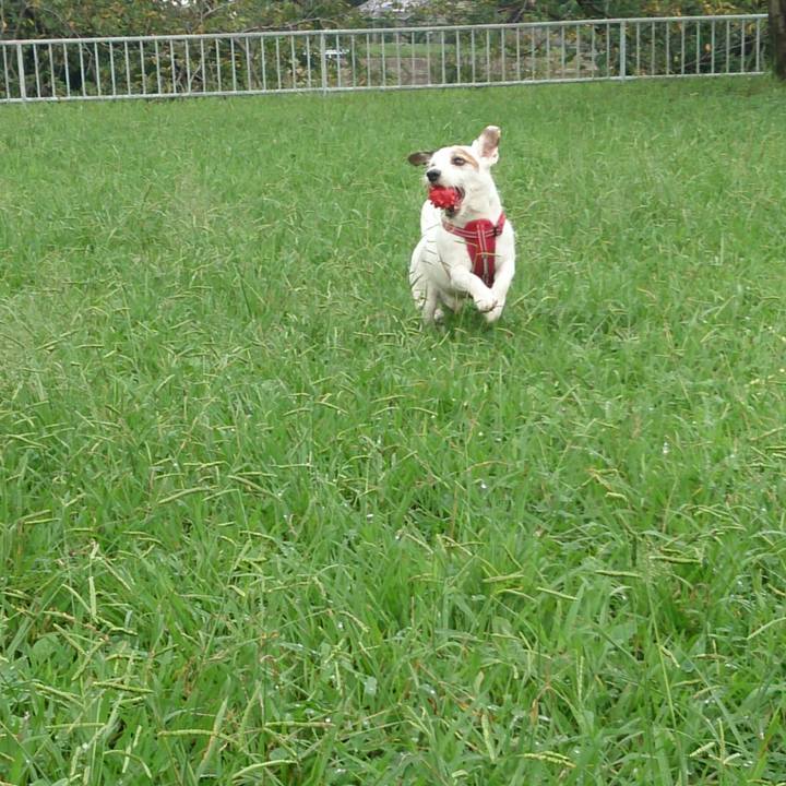 188a0ff4 c89d 43d0 8467 a49c52fb01dc