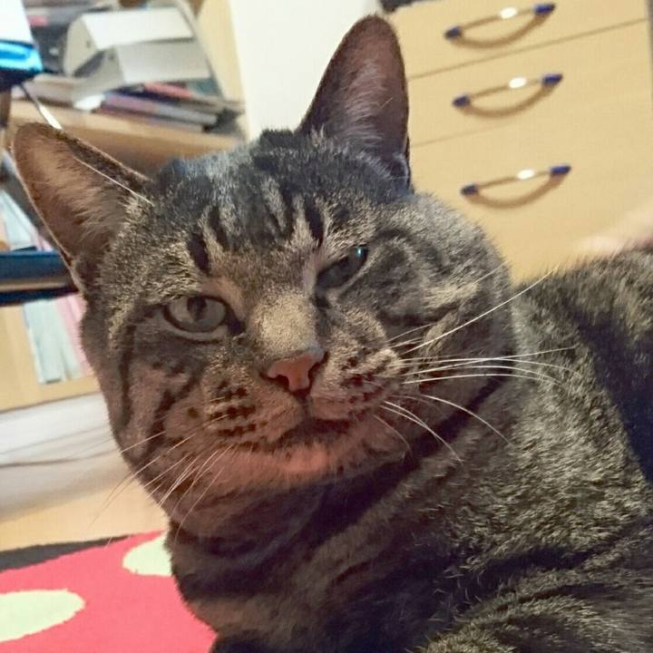 188a7132 6072 4e7a 9645 cc8229d4aaae