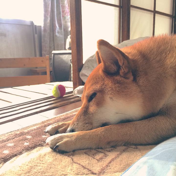 188aa4fb 4890 4f04 8281 633f6dbf8686