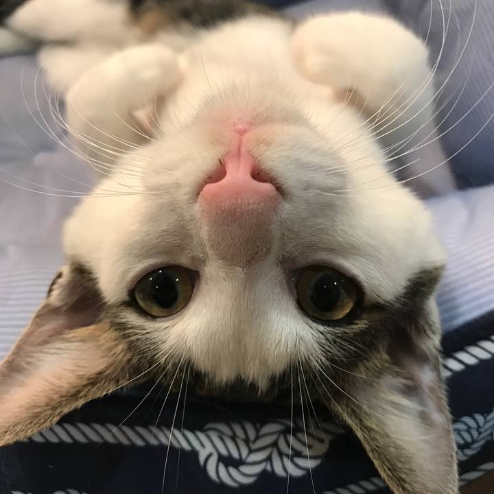 188b52a4 9d1e 490b 857b b67d4eabef0c