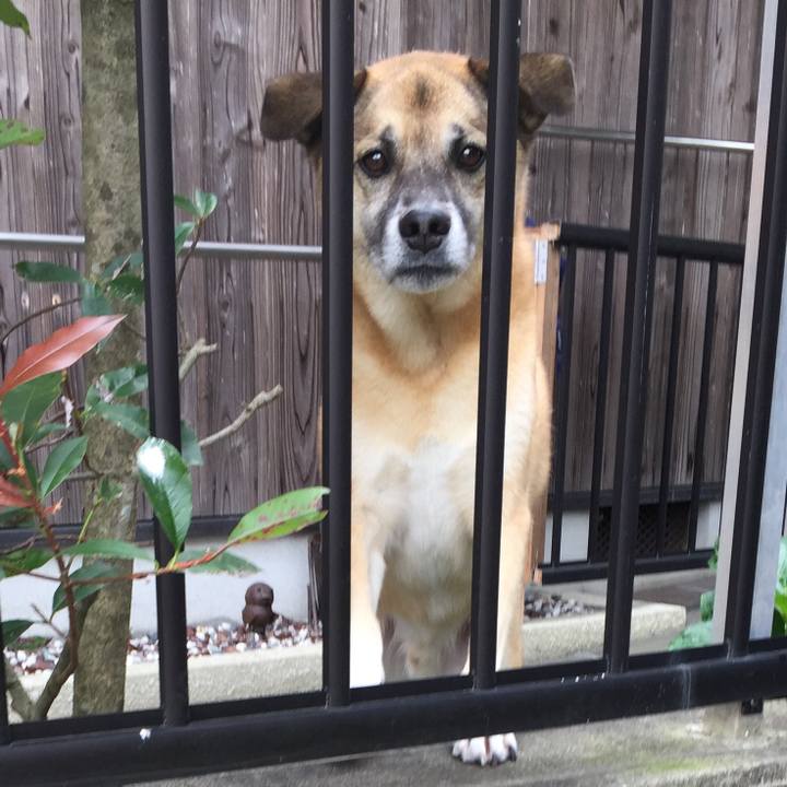 188bb849 2184 4740 89d2 a6a371c0d924