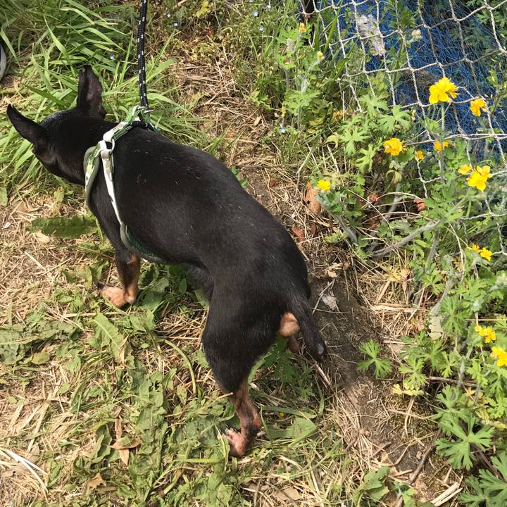 188c2683 0e41 4ad0 997c 7f52837dc743