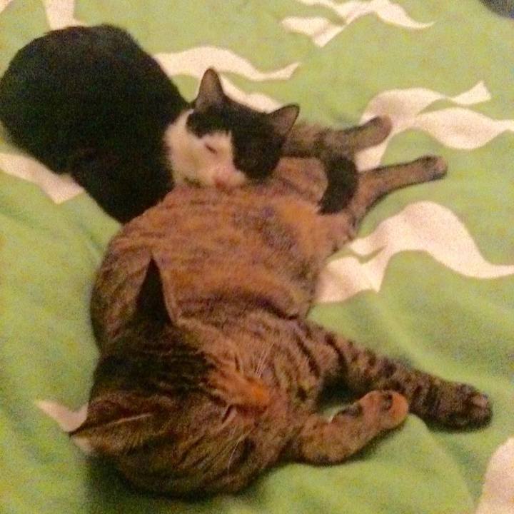 188c41f5 f65d 4952 9e45 bb0ad8469950