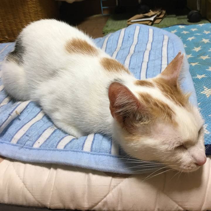 188c670a 2534 4363 8b5d 11b87d233bfd