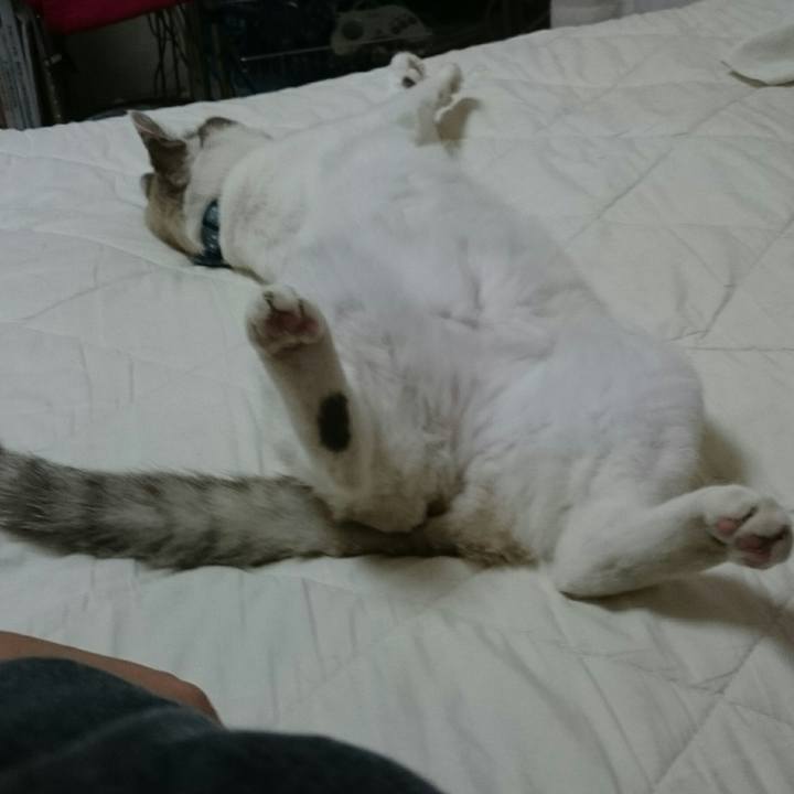 188cbafd 0019 43ff 9770 3cf9f77b8035