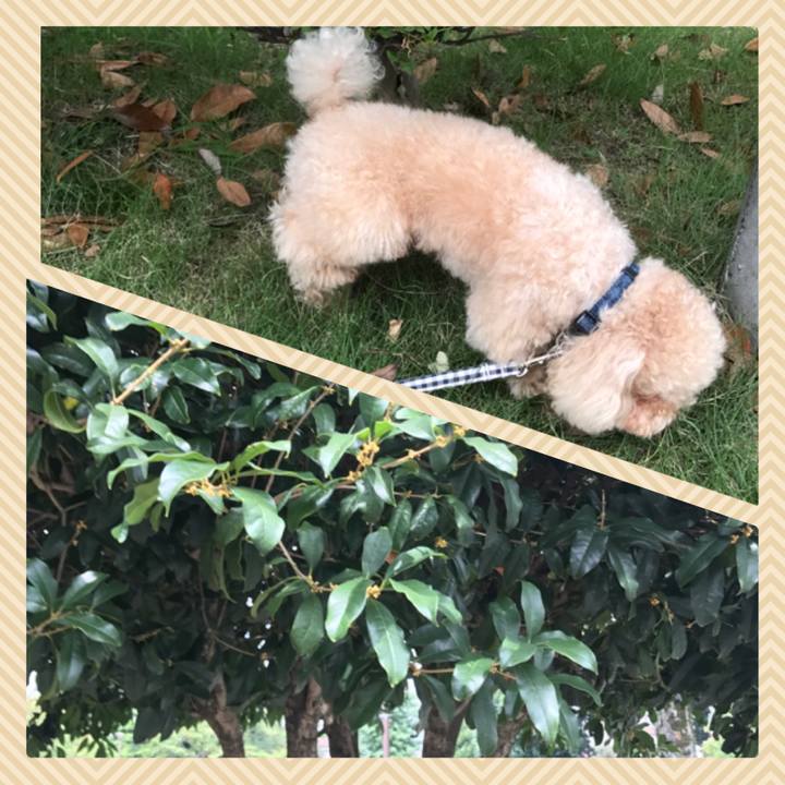 188d5db5 4e4a 4a1c 8400 b8cac97395e2