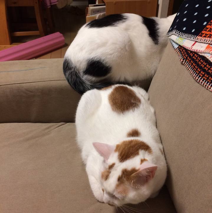 188d5e6b d369 4c61 8d0f 283dbdf65f99