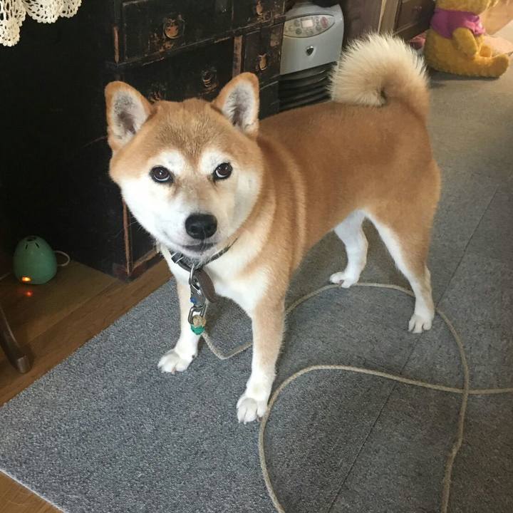 188e1679 60fb 4b67 8c16 1645d65c31ca