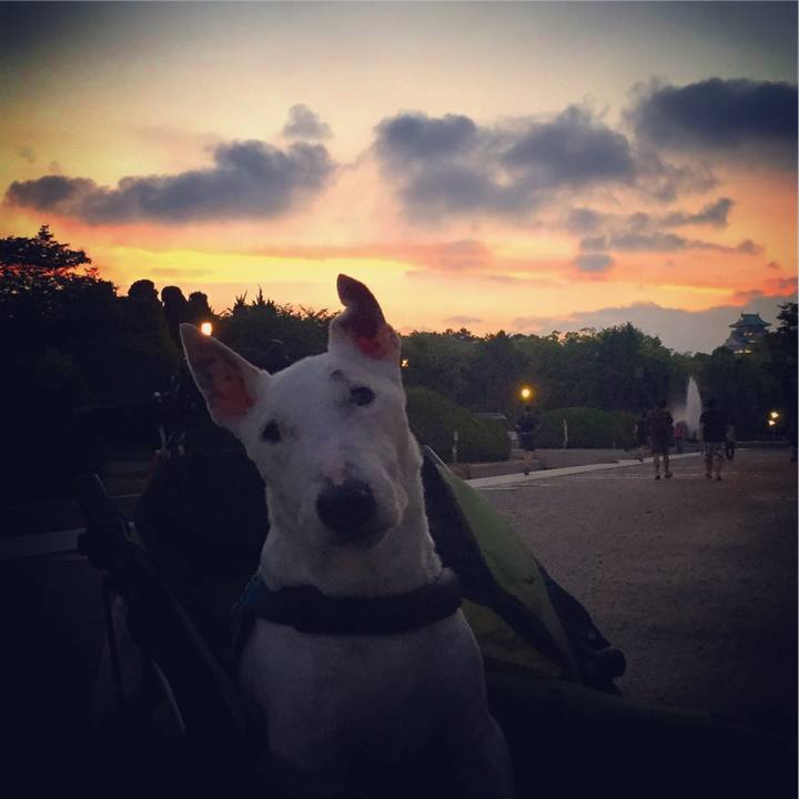 188e2556 9cb6 4ef9 a686 b1e0c637a8ff