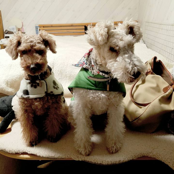 188e46fc 72aa 4976 adea cc5a96d761ca