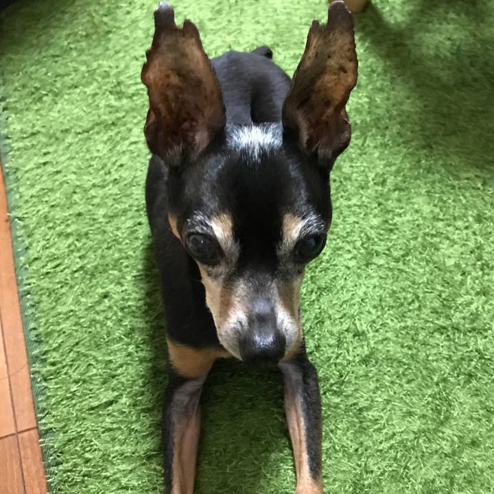 189048a1 ab29 4191 90ce 5ee0e2aeb234