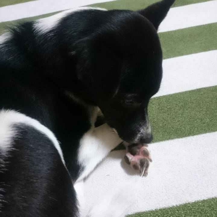 18914cc7 dba0 4fea 86b6 4e69e6891082