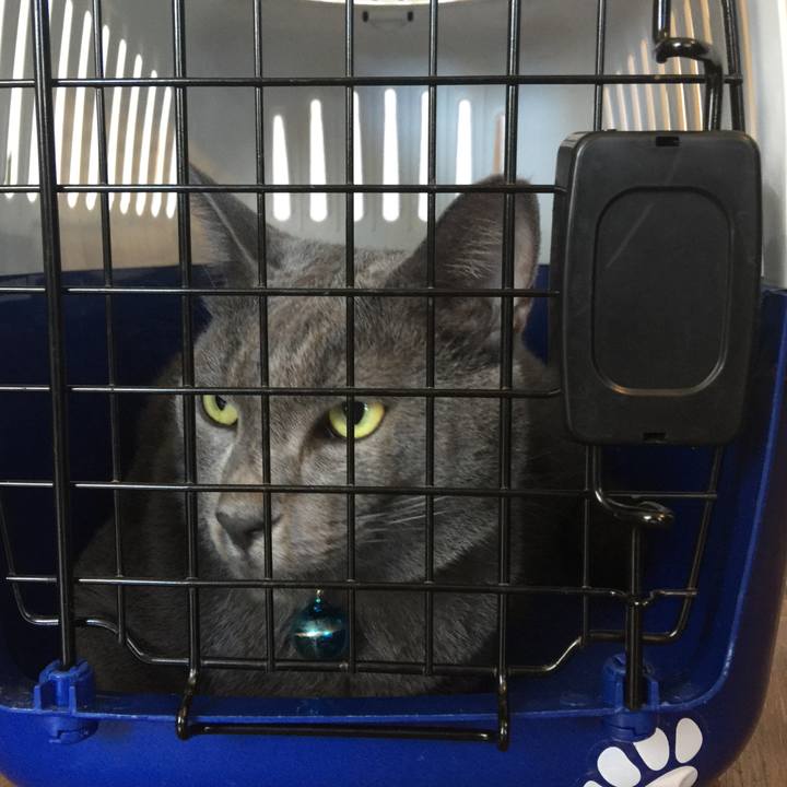 18920065 ecb5 4224 bc62 1282fffed559