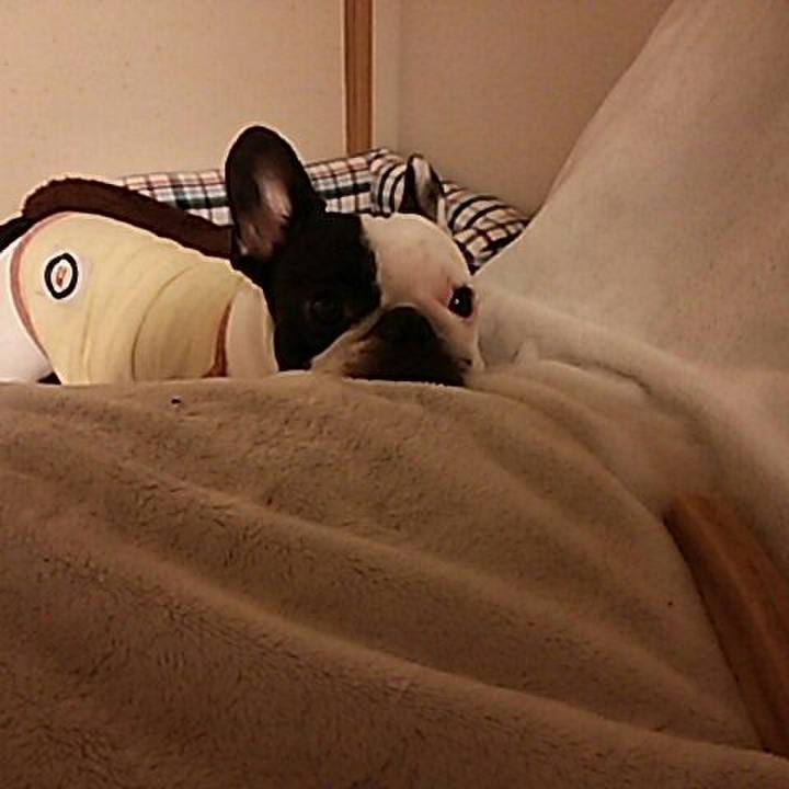 18920163 7f5e 448a bb84 7c90a1d9623f