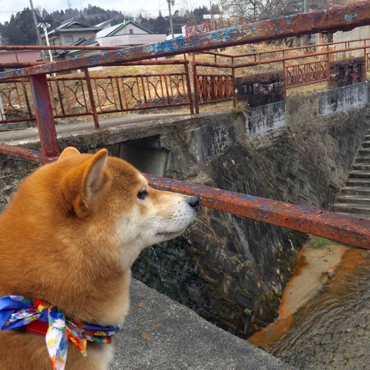 18922bc9 de37 49ed 8023 023994aec961