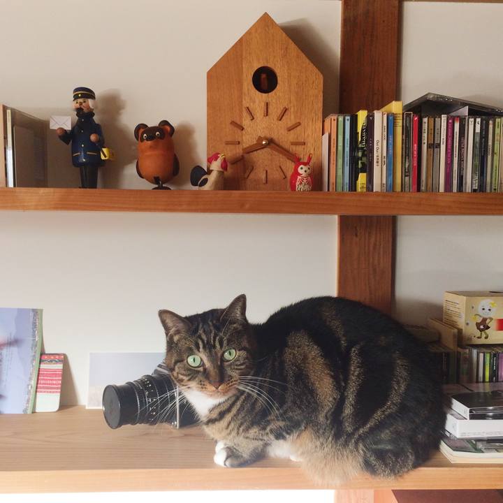 1892c242 d6aa 4c2a a50a 9a122088e4c0