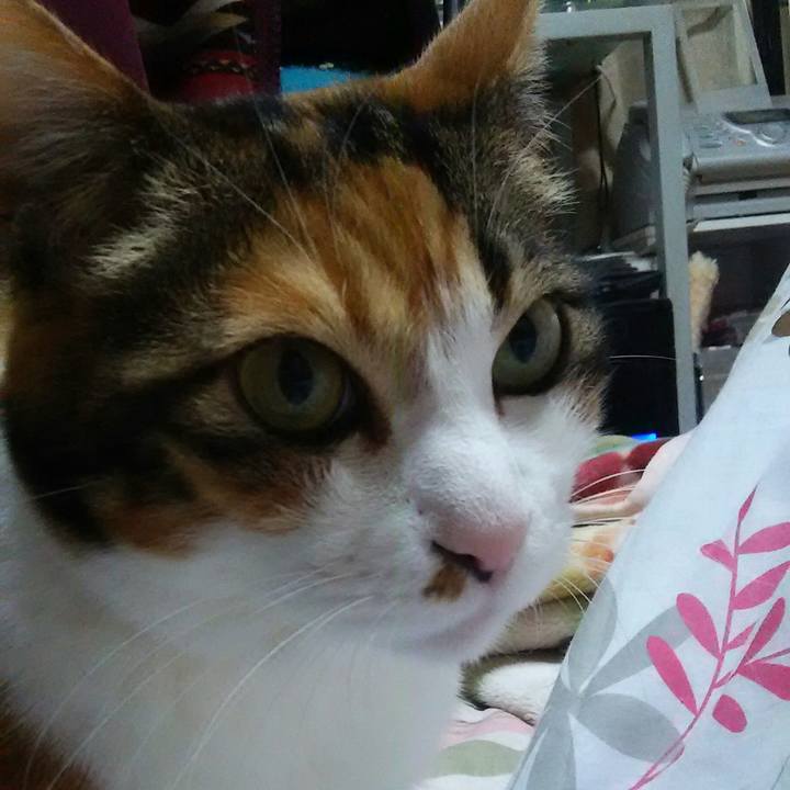 1892d895 7d41 4942 a89e 516e2aefed3f