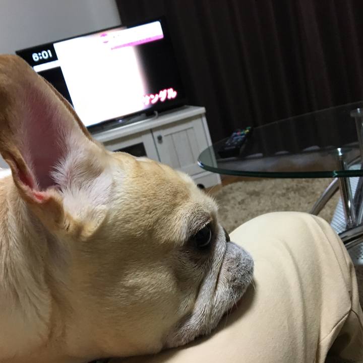 18935602 5ba7 4955 b791 83f7be829b9e