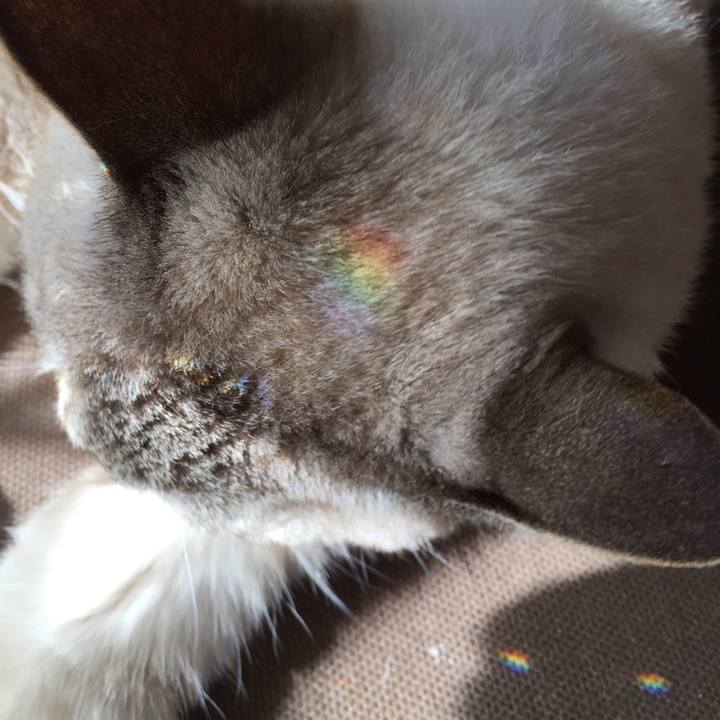 18939601 0f81 4521 ba74 71f2dd7db0eb