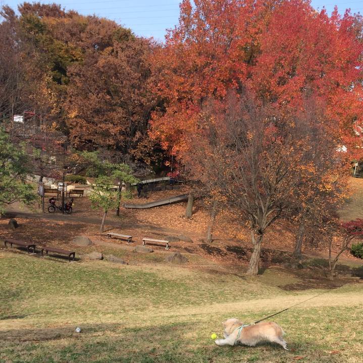 18940d7b 744b 4339 ad21 9011e72128ea