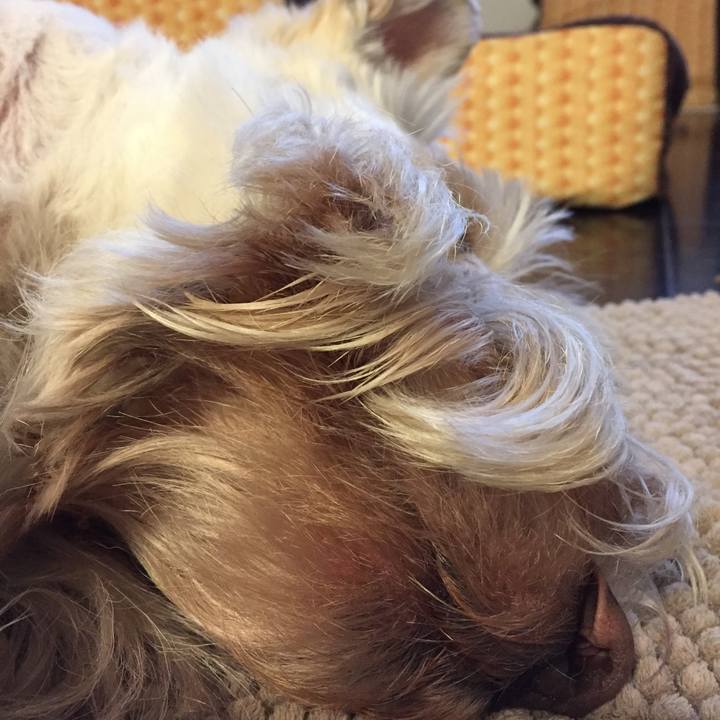 18946298 aaa0 4ffc bf57 0c7831d08104