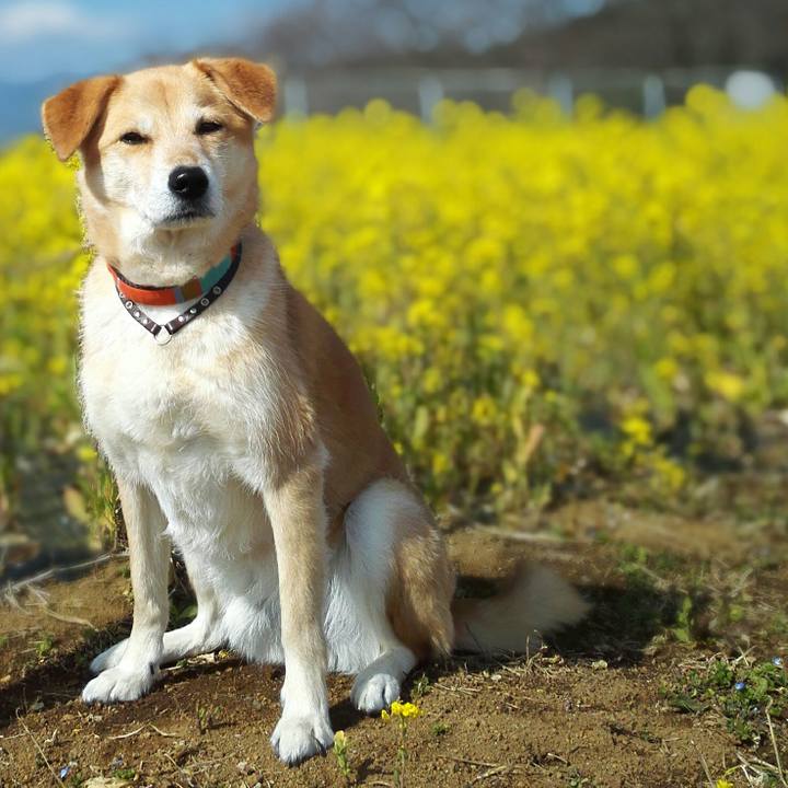 18947e05 a726 4c37 af42 d7fb1ee100d5