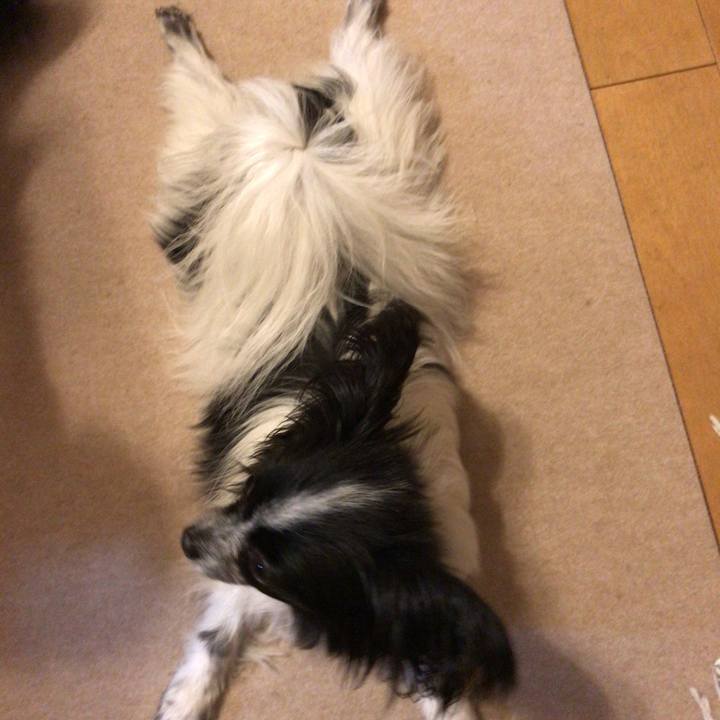 1894acd5 7bea 4d89 be59 aceea5b99202