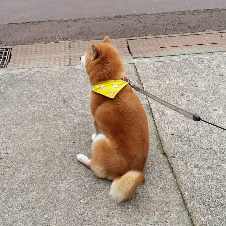 18951be0 164a 4f06 ab4e 2bca9f587a4f