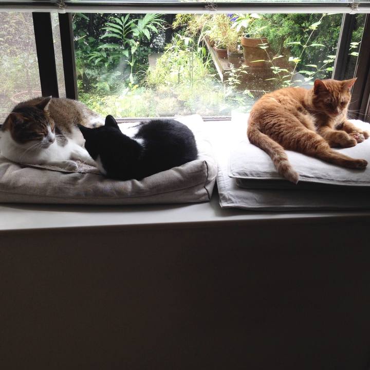 189525e1 c59e 46b8 b41f 88c5325a04eb