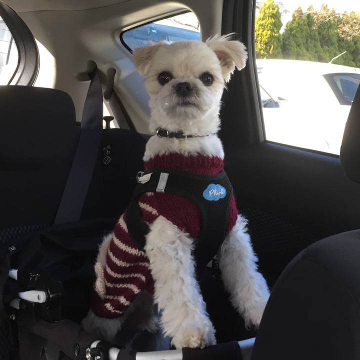 18964503 6cdd 4ce7 b958 ee68a684504d