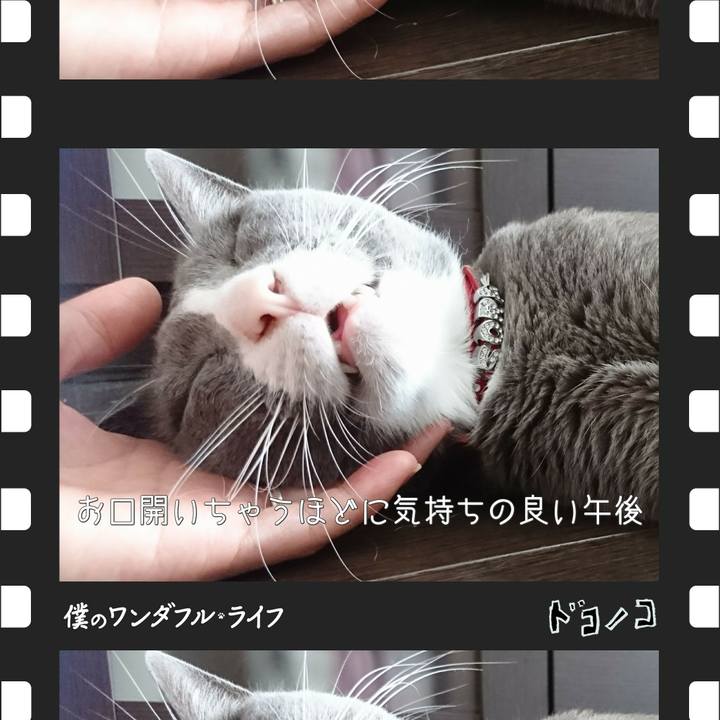 18966b87 2cc9 4294 968c 3a1932a8de6c