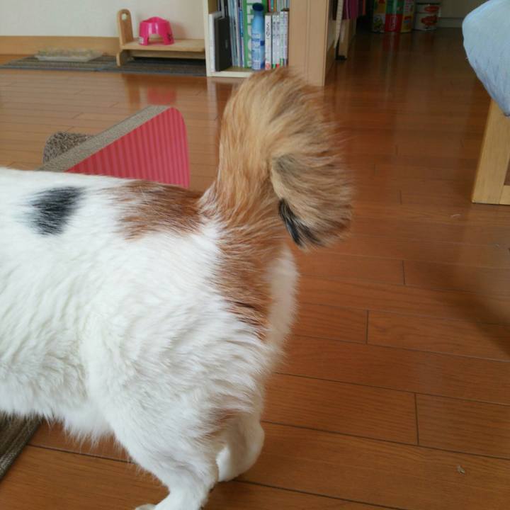 1896e92a 0600 4498 a69e c522594ed305