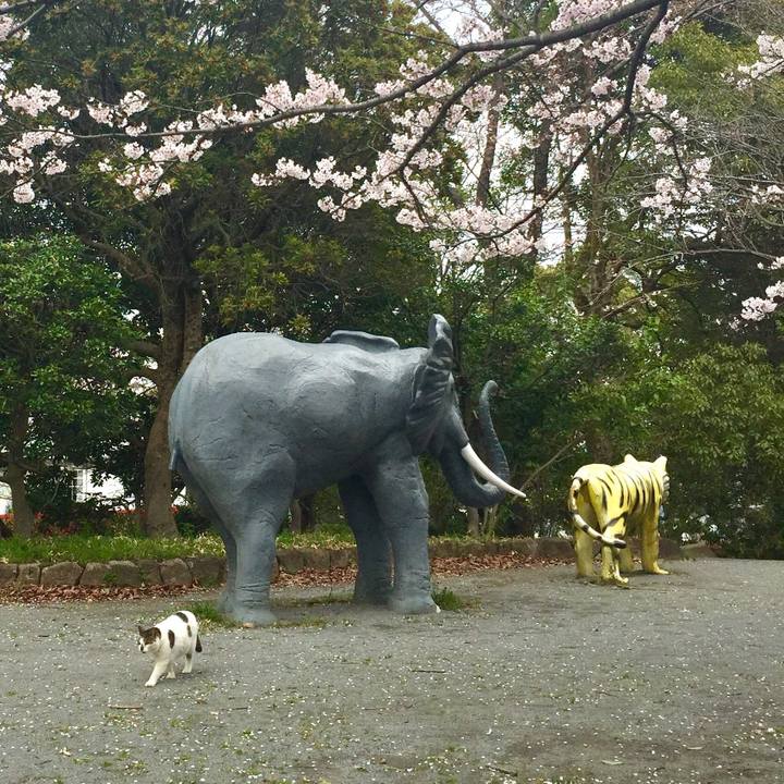 1897125e f3e6 482c 941d af8b3d12627c