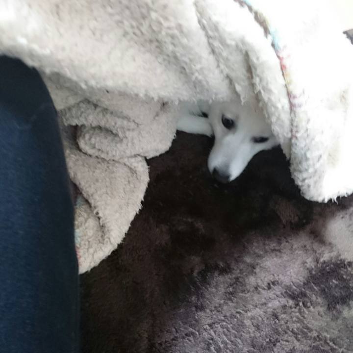 18977c56 bb3f 4ea1 87ff b0568a78db7c