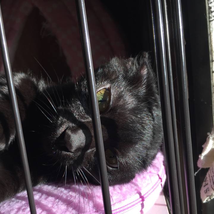 18981d7d a2b4 4052 aa90 23c62ec99486