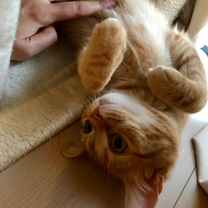 1898c19e cded 476c ad26 830e88f3836a