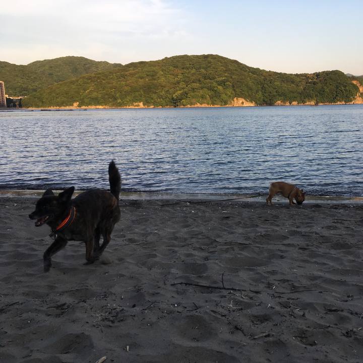 1899713a e47b 4072 9d34 63dd0cdb989a