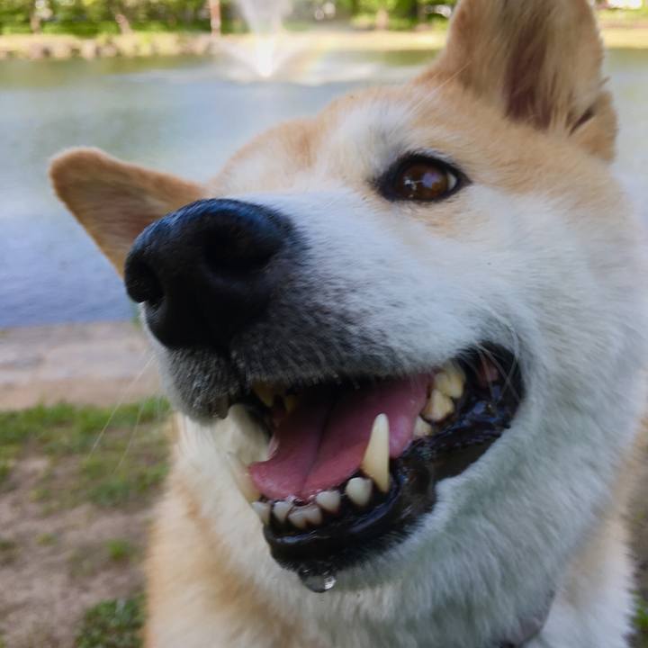 189987cf 6a84 448a 8021 9a73cb0ca5bf