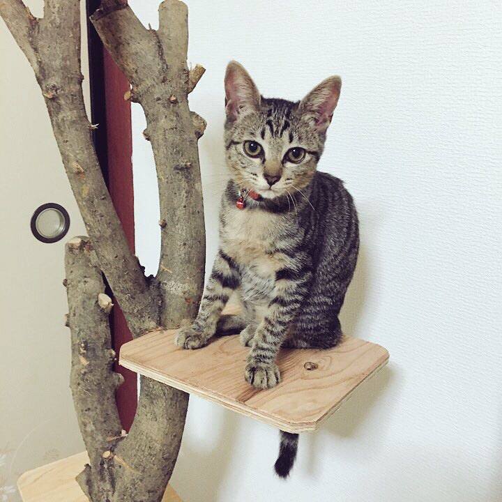 1899b725 76c1 4a12 be64 90ba284930d1