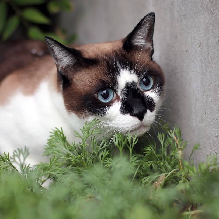 1899d95e cc3f 4dd2 bf4a d9358a9962f7