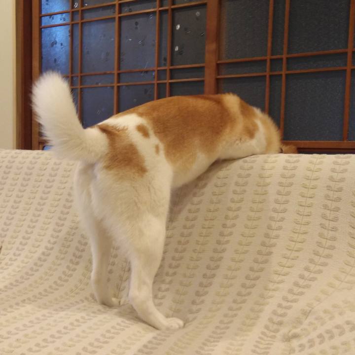 1899fc40 c2c1 4651 af46 014e36b8f595