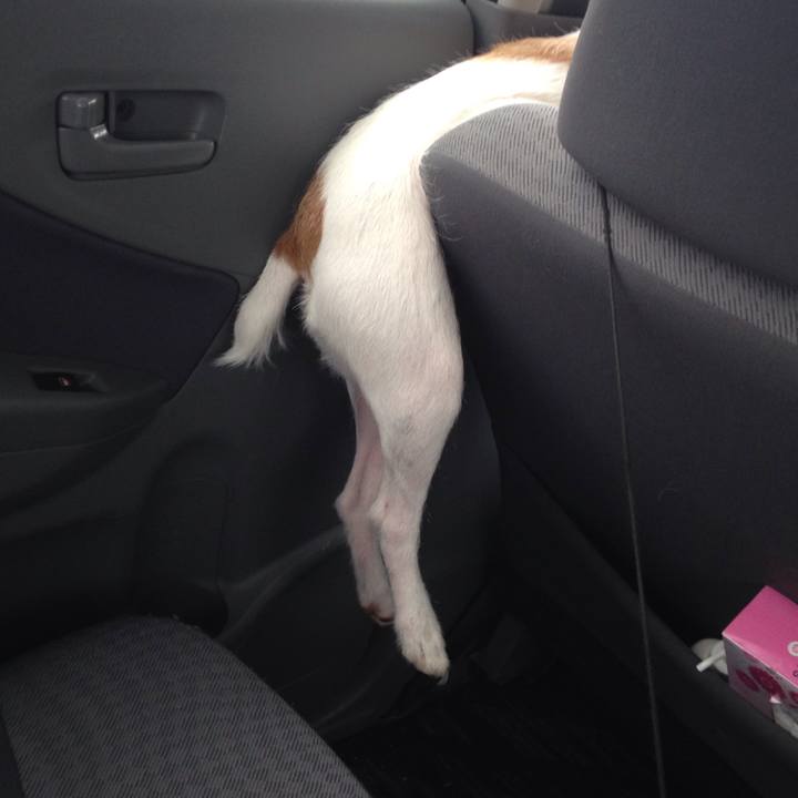 189b4add 4777 42f1 8129 eb70cf0147ba