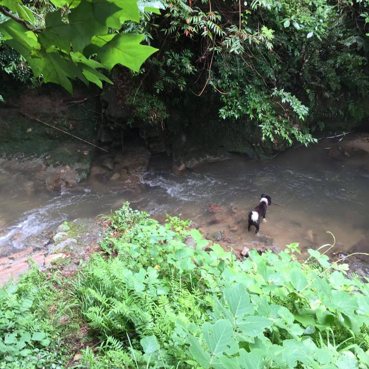 189bbf36 5e9f 4e94 945c d1346d7c5f00