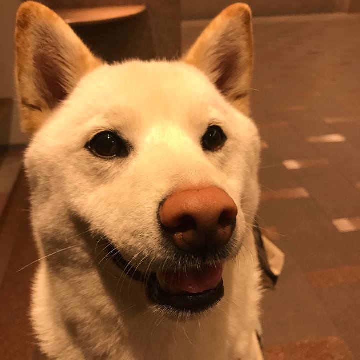 189bf4af 5f9e 4f32 8d1d e861e8ce2f7e