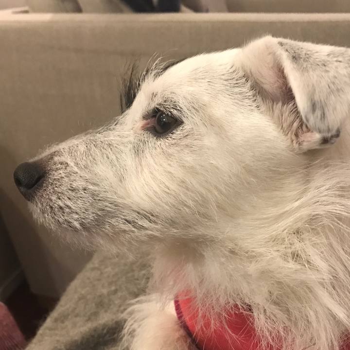 189c32e9 950f 4d27 aad8 ea686a1fafaf