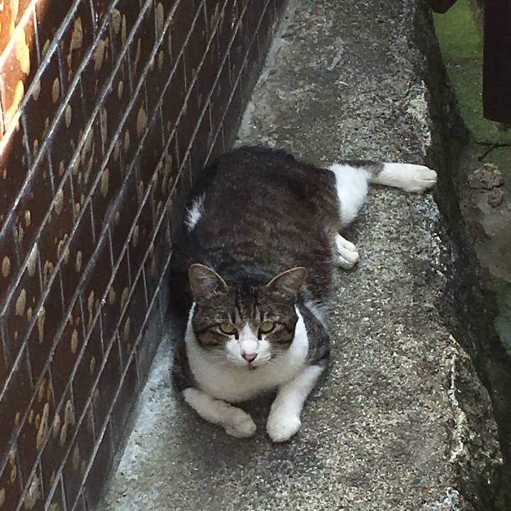 189c8eed 1827 4473 8361 791b4ae21d38