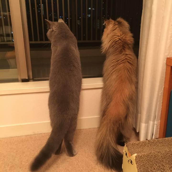 189d0083 dc81 41ca 9f53 4f40c923f8f5