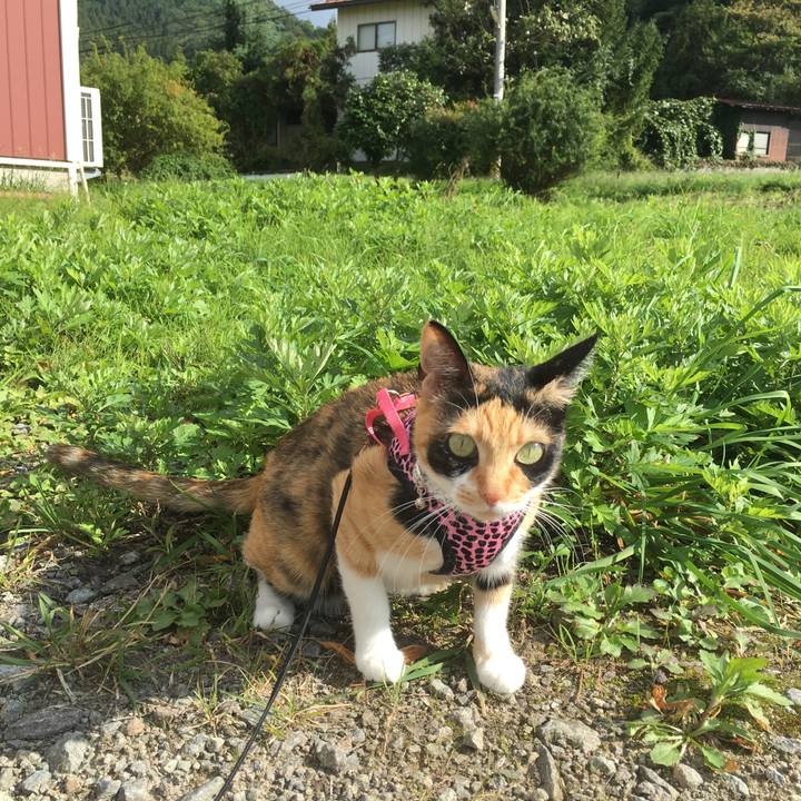 189da9f6 8121 46b9 bdb5 e84cad8ca20c