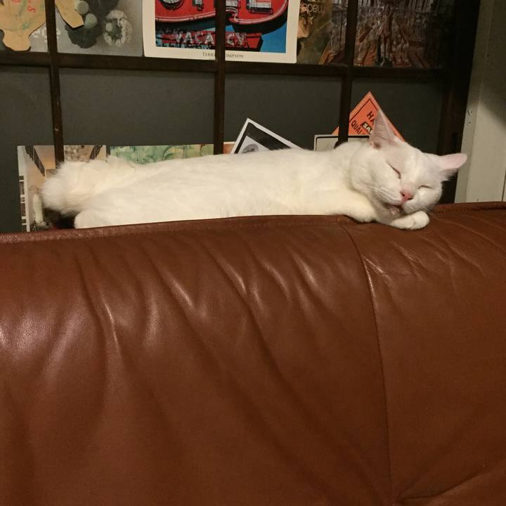 189db76e ca21 44ee b900 f5ec173217fc